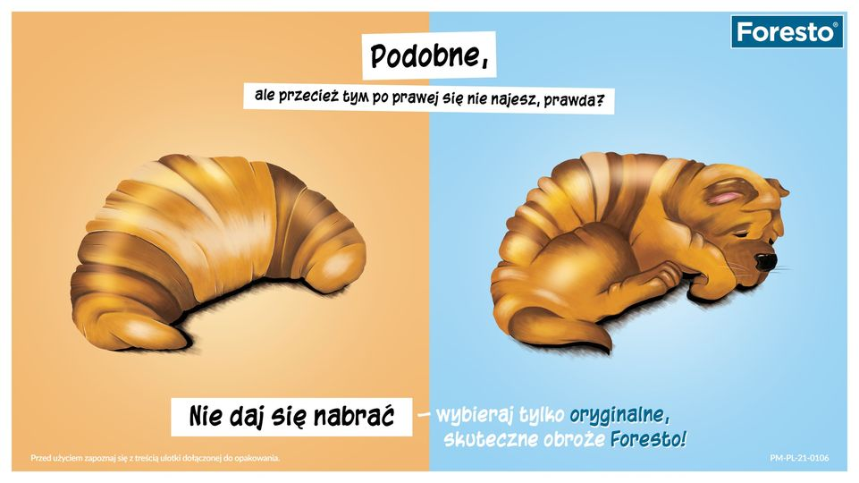 livebirdspoland_8e32cbdd9753eb198dd2dfdfea2294d1.png