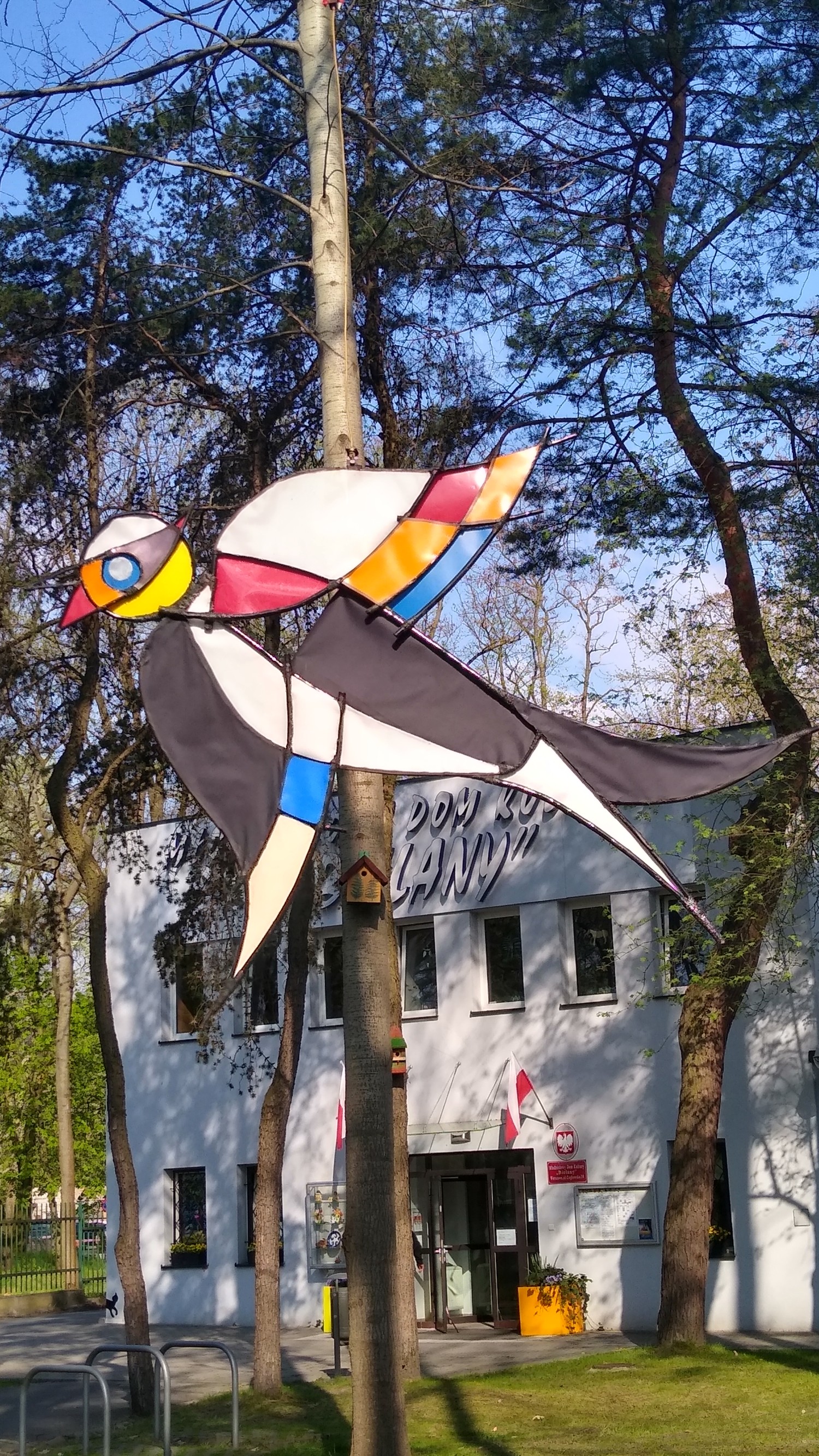 livebirdspoland_2f70b765e7a1f2192e56ffc6afb66686.jpg