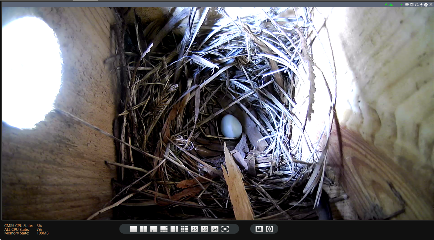livebirdspoland_8b2c0eb066adb88bceb6d7dc69ae4cbd.png