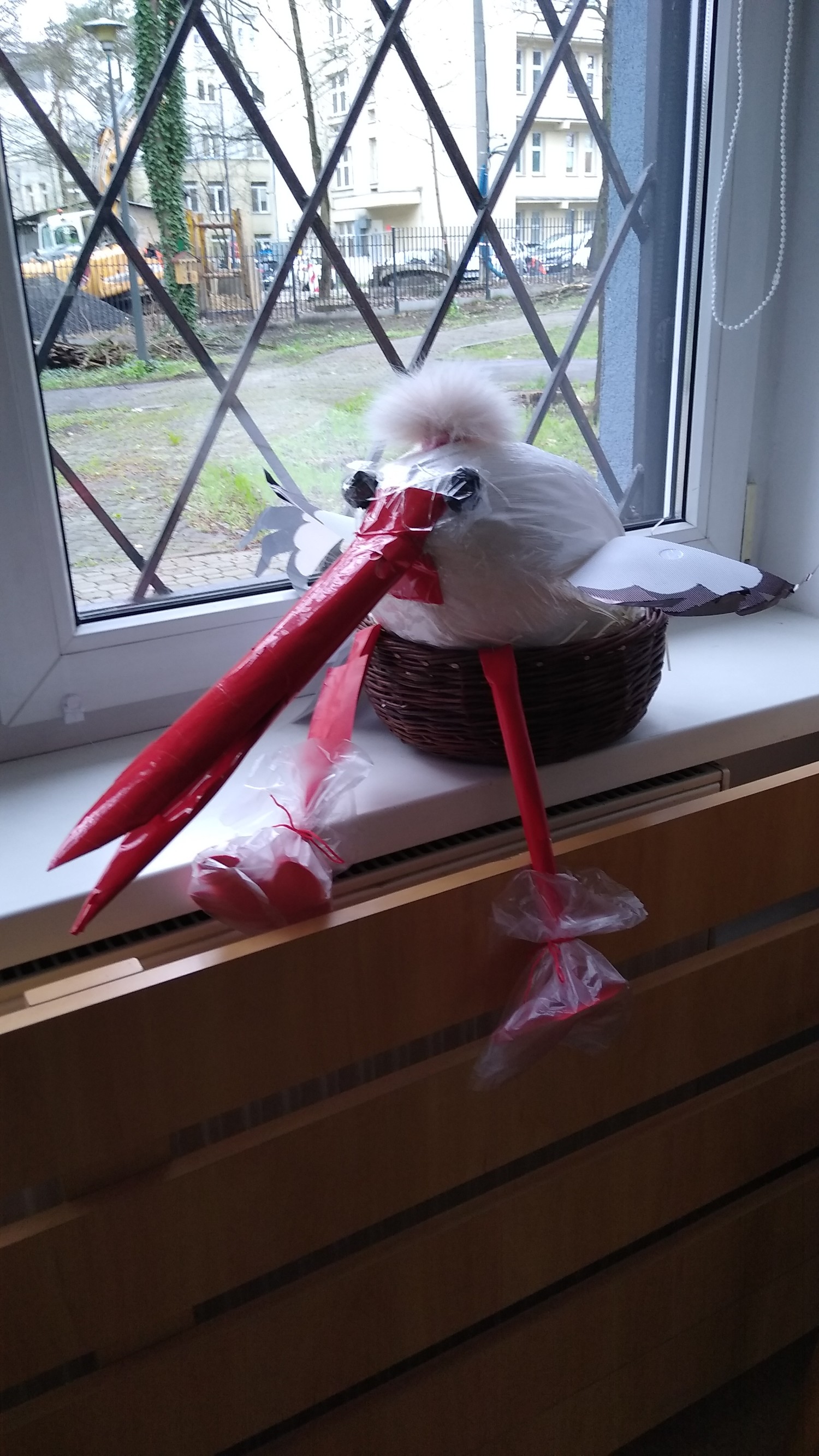 livebirdspoland_89d1a4b0ffc38419553fa00373dbd3f0.jpg
