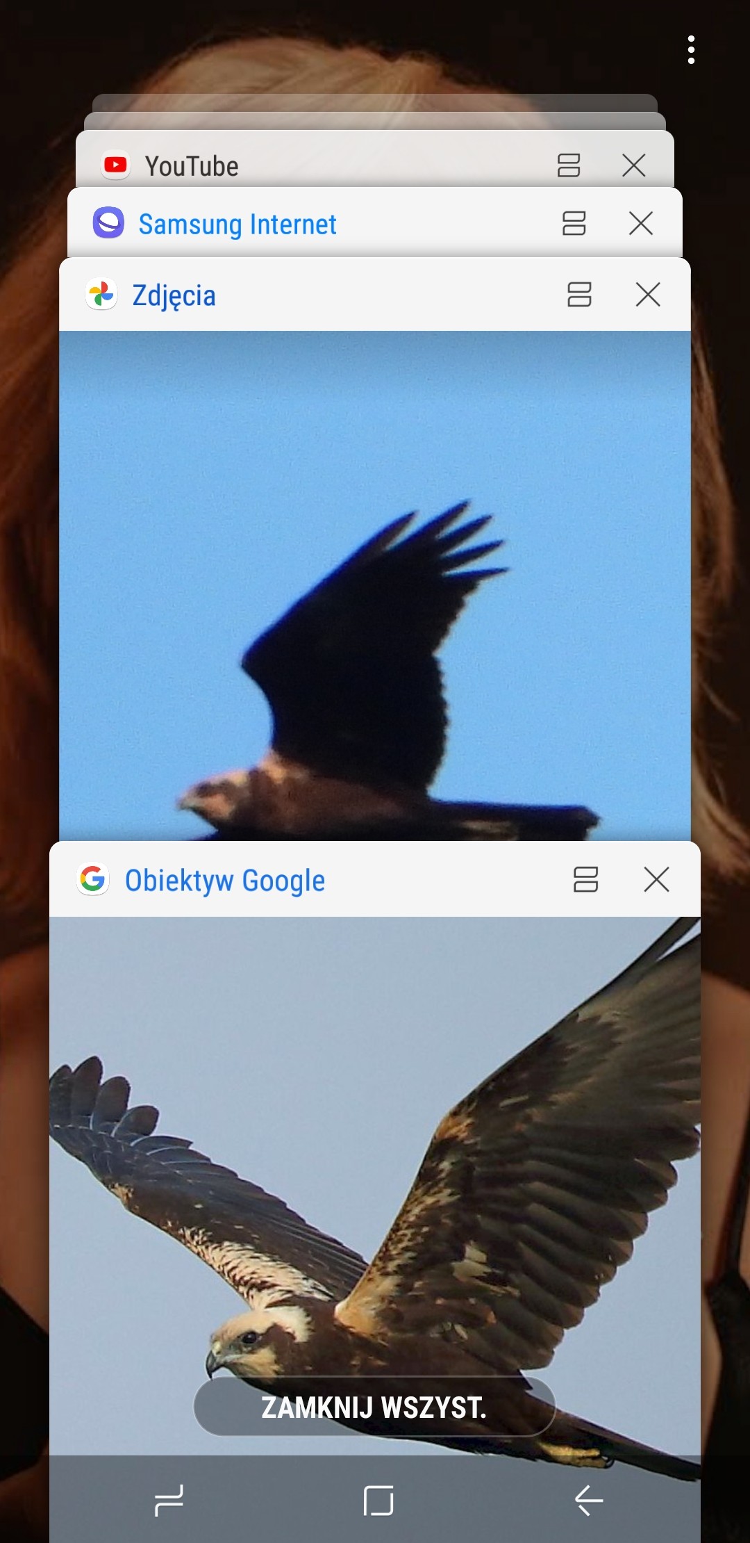 livebirdspoland_edf0fc3903610c83ab34b64386e39cb0.jpg