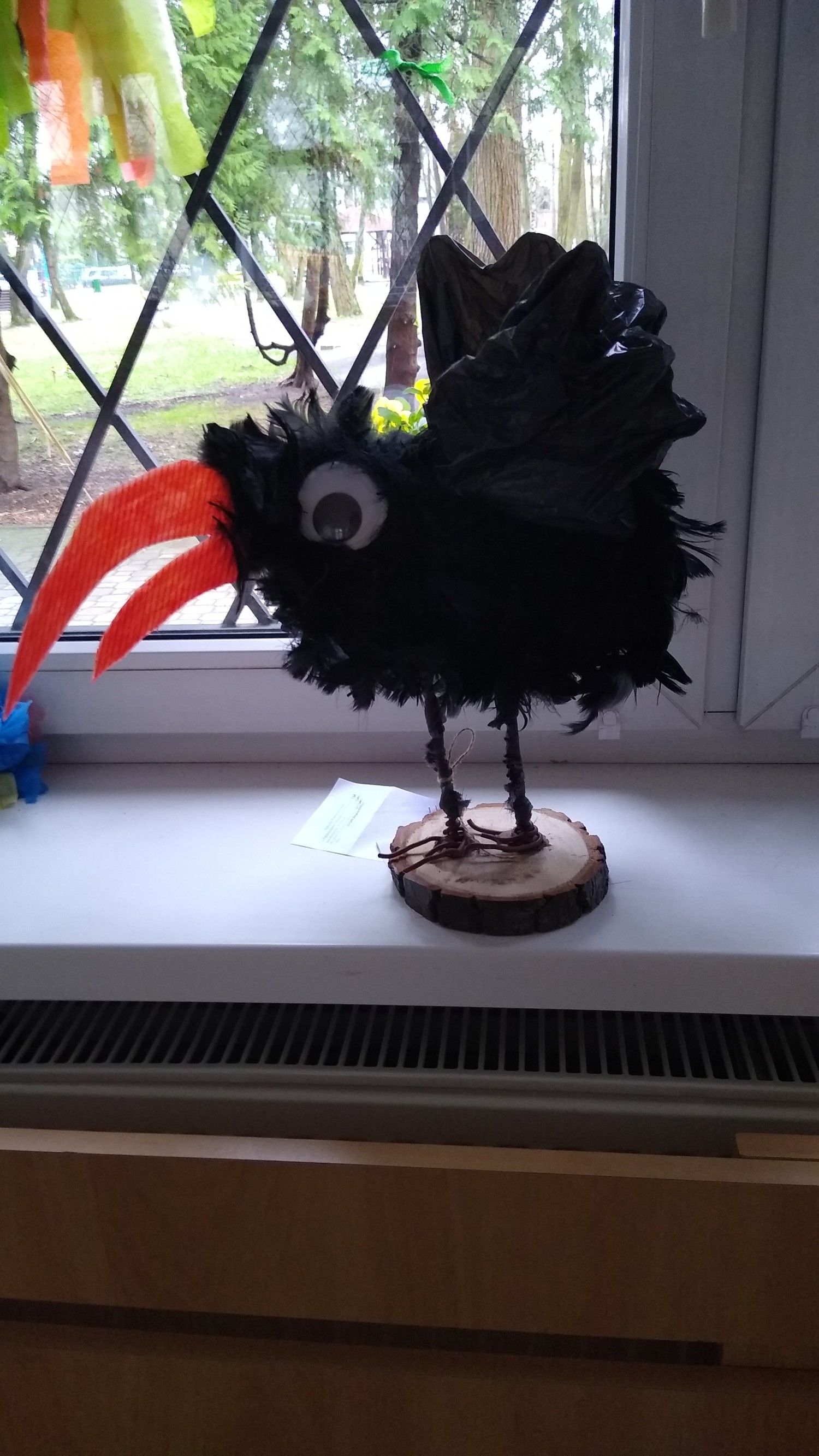 livebirdspoland_893cf81e46d3f2cb77590d97ba5f5e9a.jpg