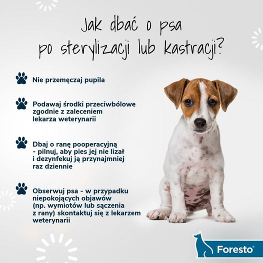 livebirdspoland_e492850085facc62c27410ccf8f79886.png