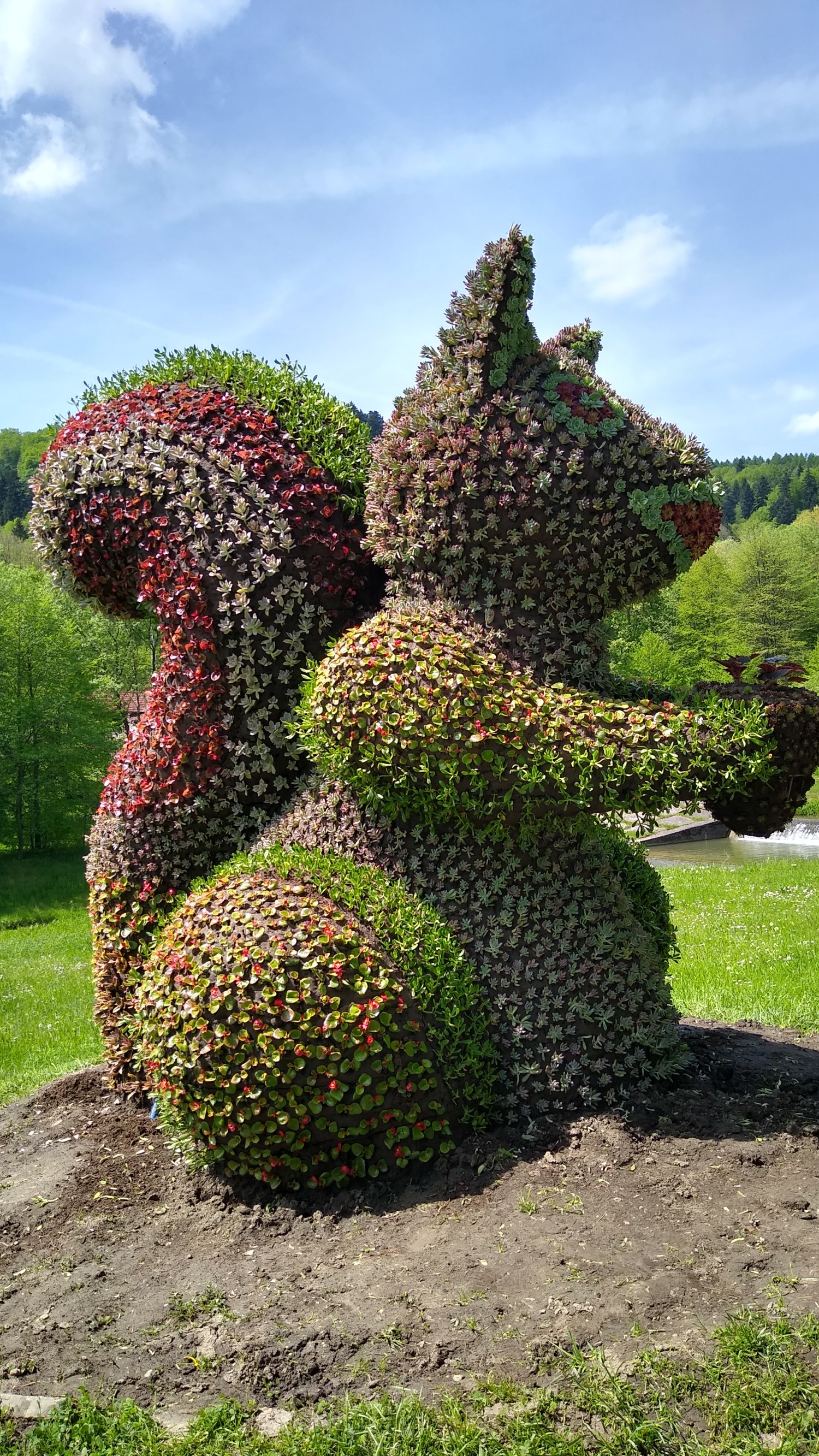 livebirdspoland_3f9f3d2854d4413b7d7f0b5df46c7618.jpg