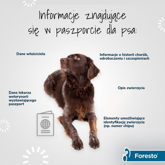 livebirdspoland_6f71d8423065e5f9452c865e585d3b01.png