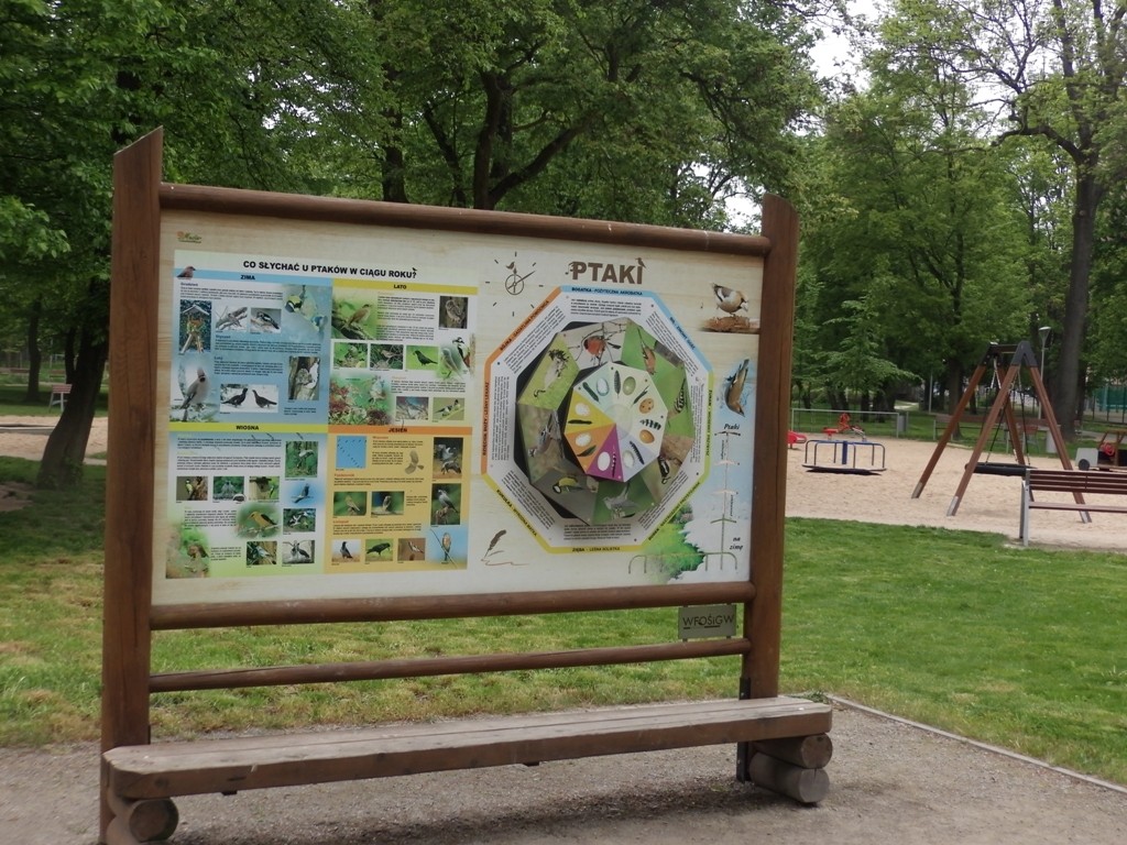 livebirdspoland_0552988f1ee3eaad1c84d60993244112.jpg