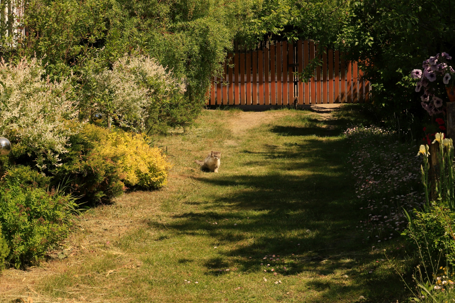 livebirdspoland_7d67f888a2630663fe994b08fe9ad0f0.png