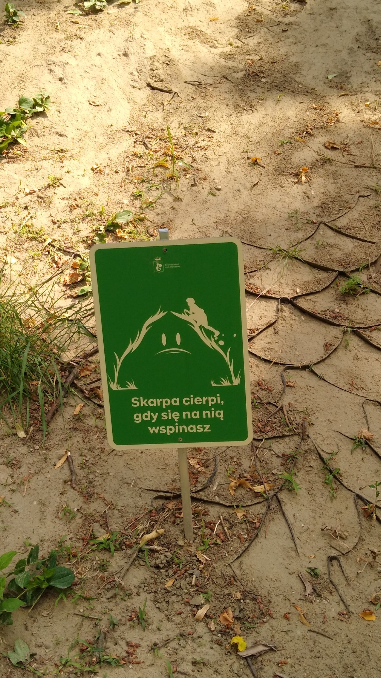 livebirdspoland_b68b44b8a7f27dba6740da6ea095a8ae.jpg