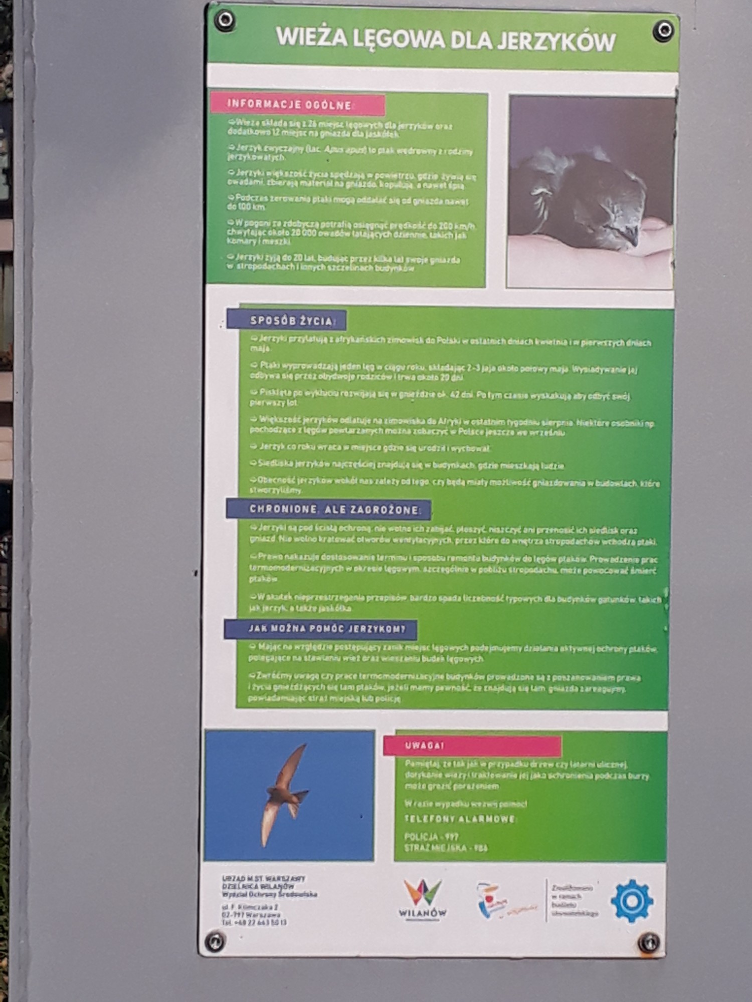 livebirdspoland_50a8860bd4a5569f57a2933502828bf9.jpg