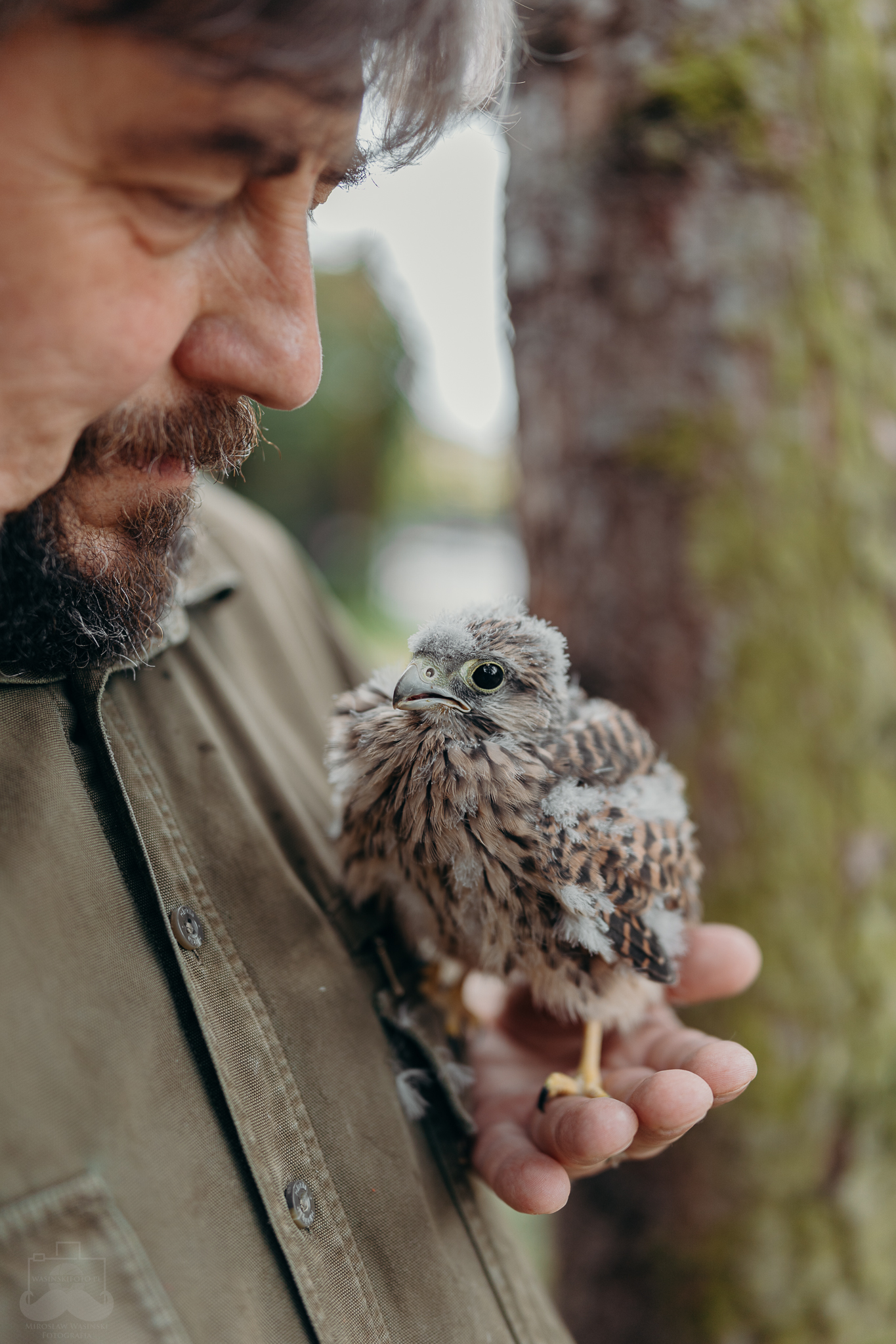 livebirdspoland_38fea70ae9af2c840dc96612021d7c1c.png