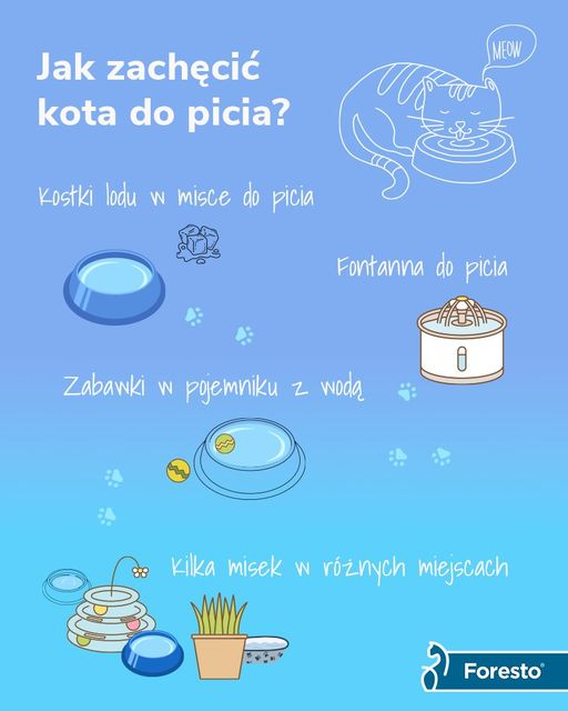 livebirdspoland_012da1a12e6df6133c0b134d8ac21075.png