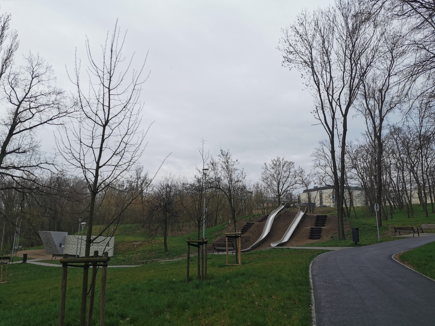 livebirdspoland_6f8305d95ed72a2885a22683d57fd8ea.jpg