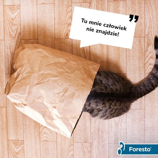 livebirdspoland_4d0640b7b2ffac1aeb20bd4e1b1e702e.png