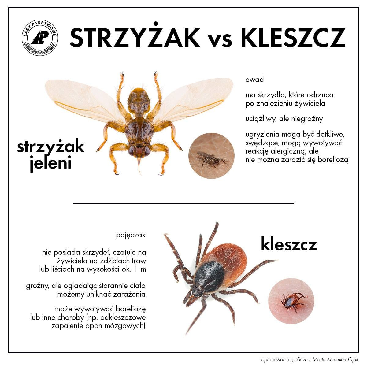 livebirdspoland_462a60f63b6e5ef3fafe775f9150832f.png