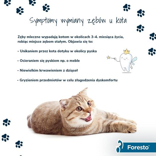 livebirdspoland_71324d1155fadc92b59c0e66827d3f53.png