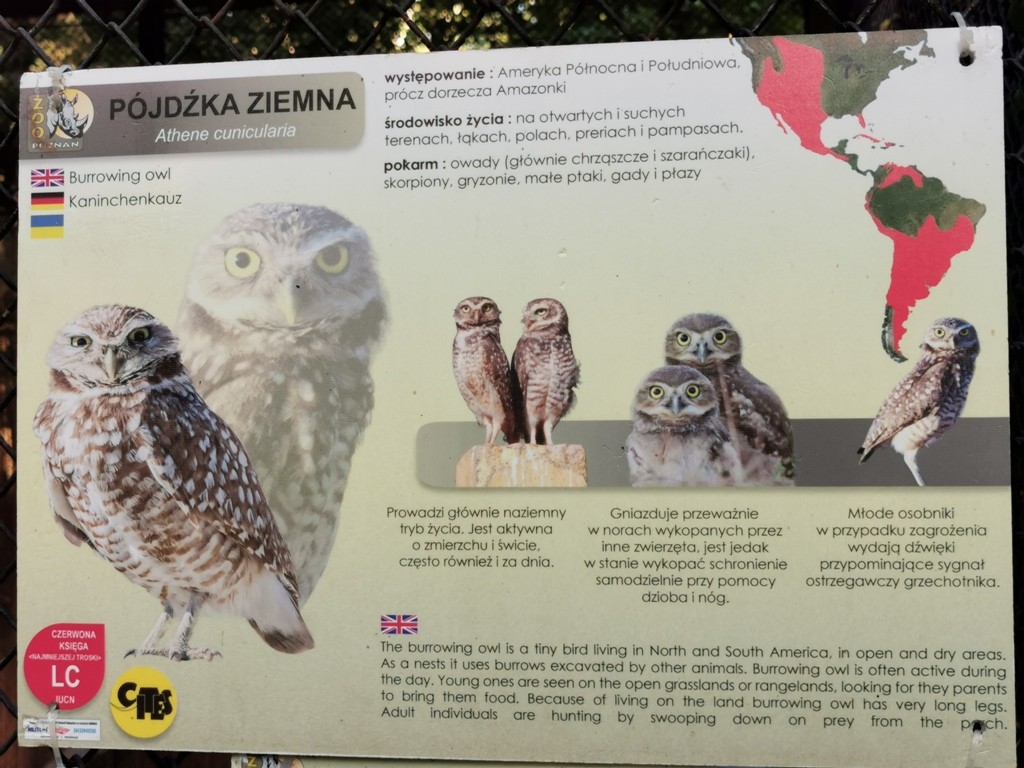 livebirdspoland_ab929650b55f3850fed2701b81ca6e90.jpg