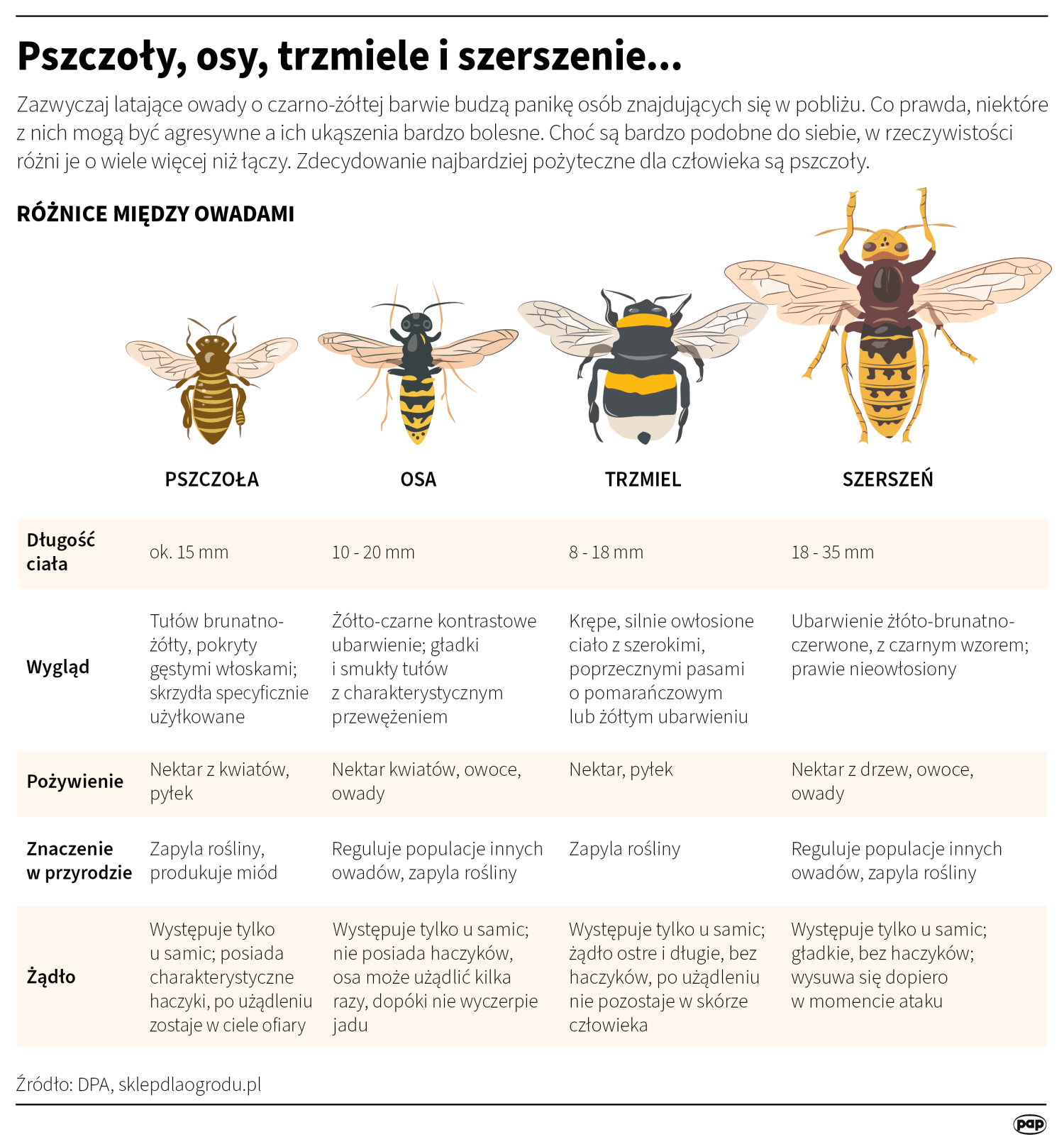 livebirdspoland_86e8f83eab46639d6d594599da20c135.png