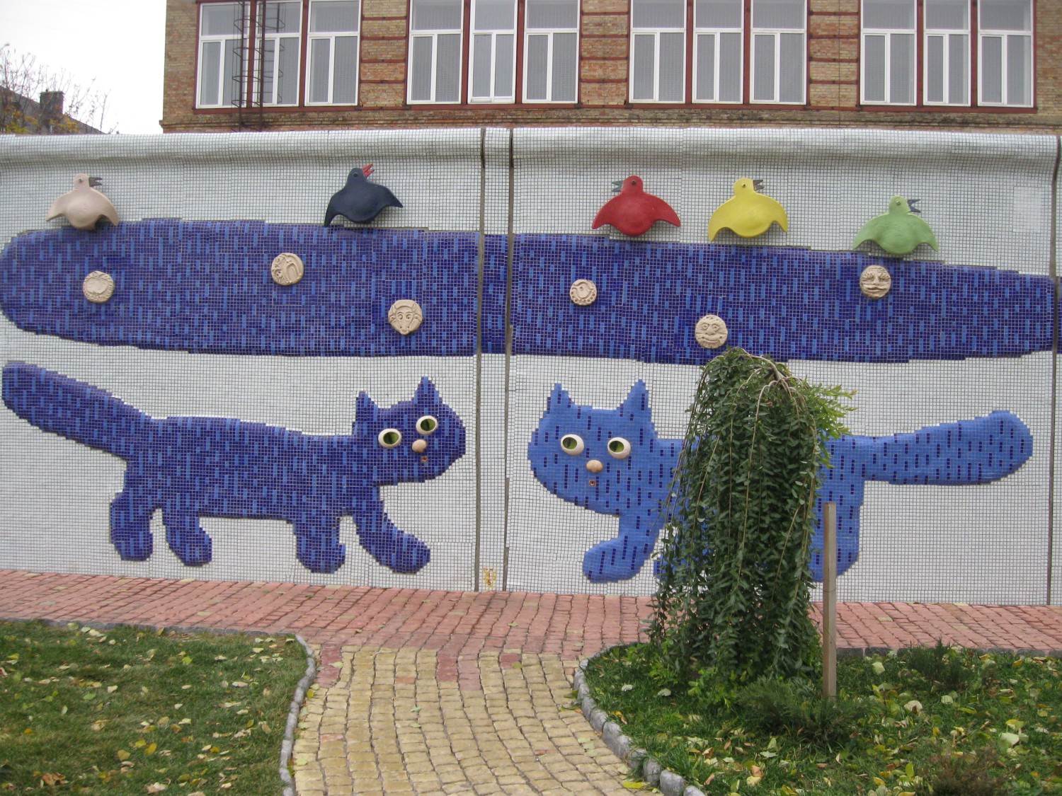 livebirdspoland_7b63d9c959ea6955a9cc35cb40144969.jpg