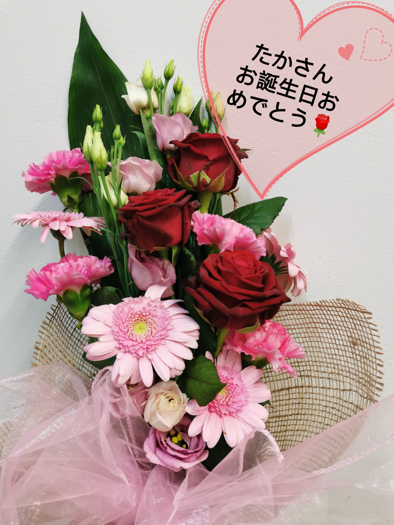 livebirdspoland_6d16b053384b93b403ba0b927b884efd.jpg