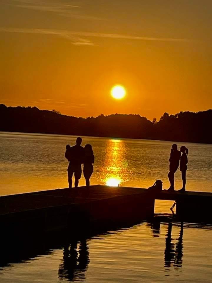 livebirdspoland_fb009019f1479098cec41297b1f7a387.jpg