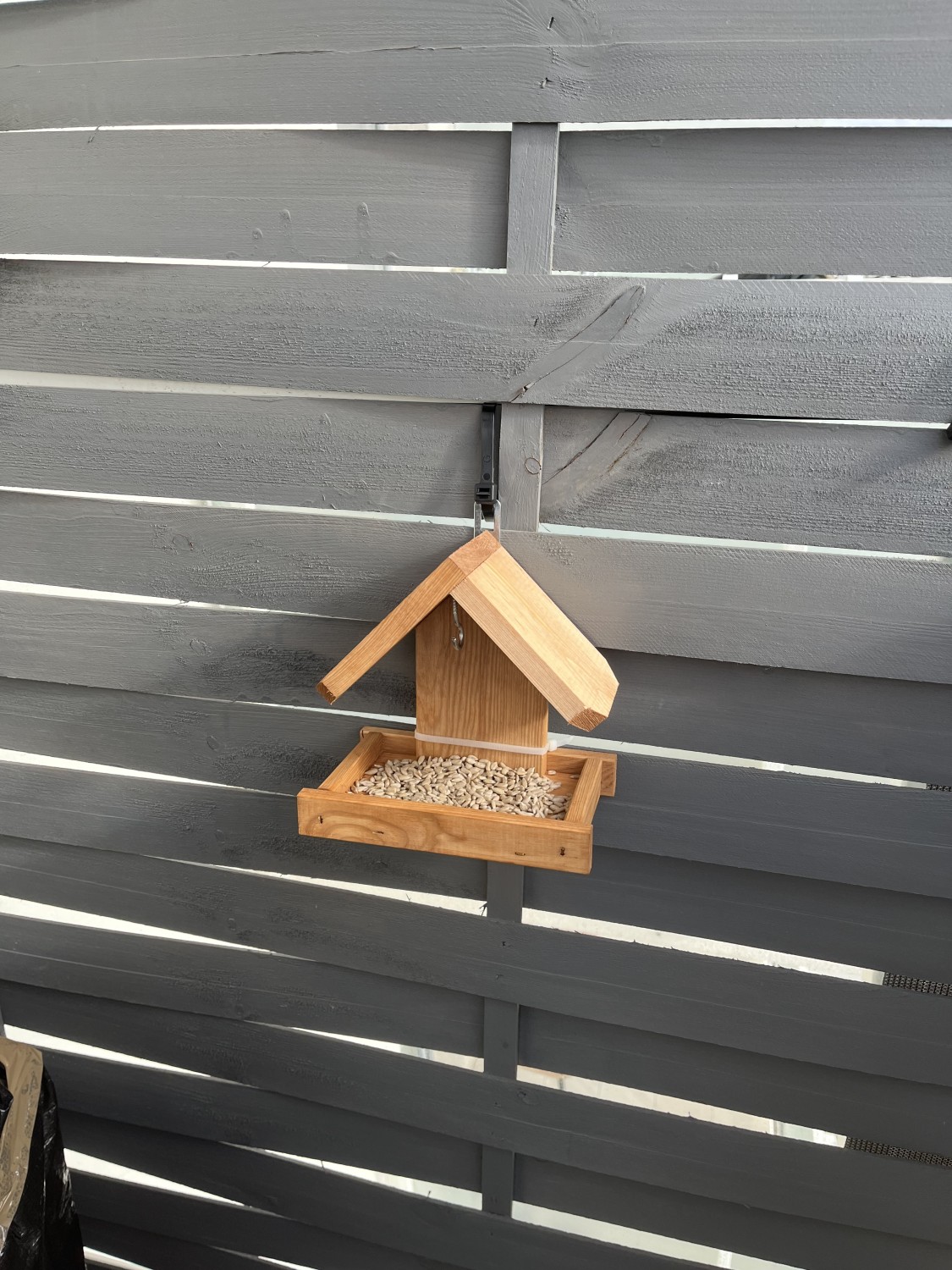 livebirdspoland_043c557bc6f9ebefe6253fdbcbd31032.jpg