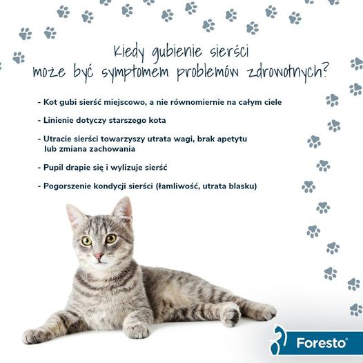 livebirdspoland_6f34db69317de86185b03c12535782d2.png