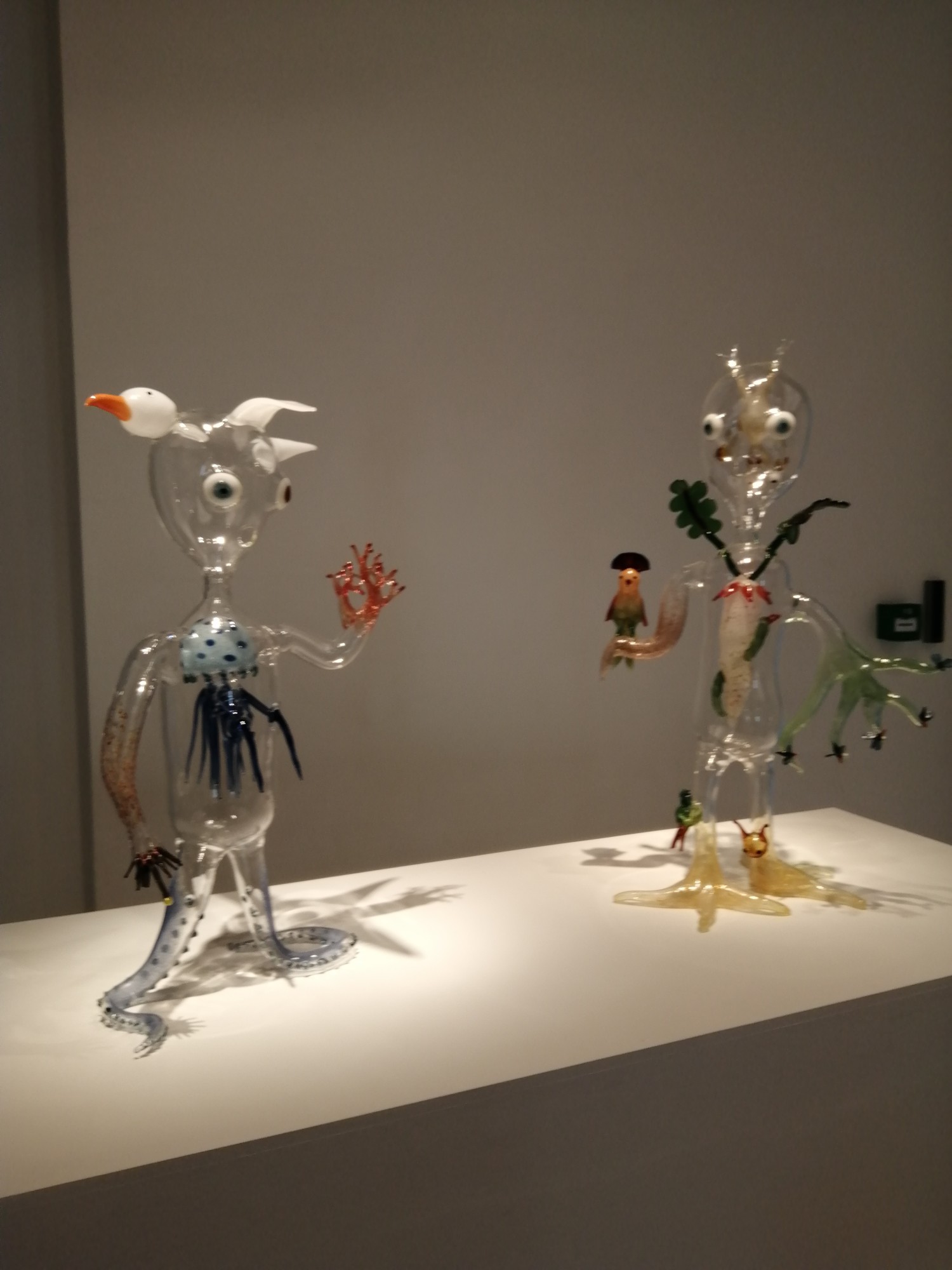 livebirdspoland_0184f19fe68bb3689f80d05f8edc9704.jpg