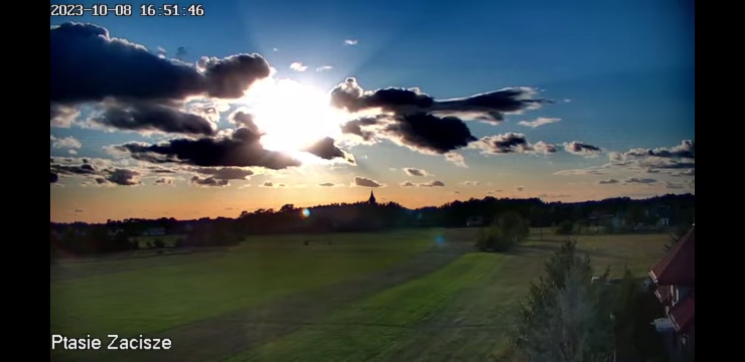 livebirdspoland_8625a5ff139f6f7e789fab6b0845aec6.jpg
