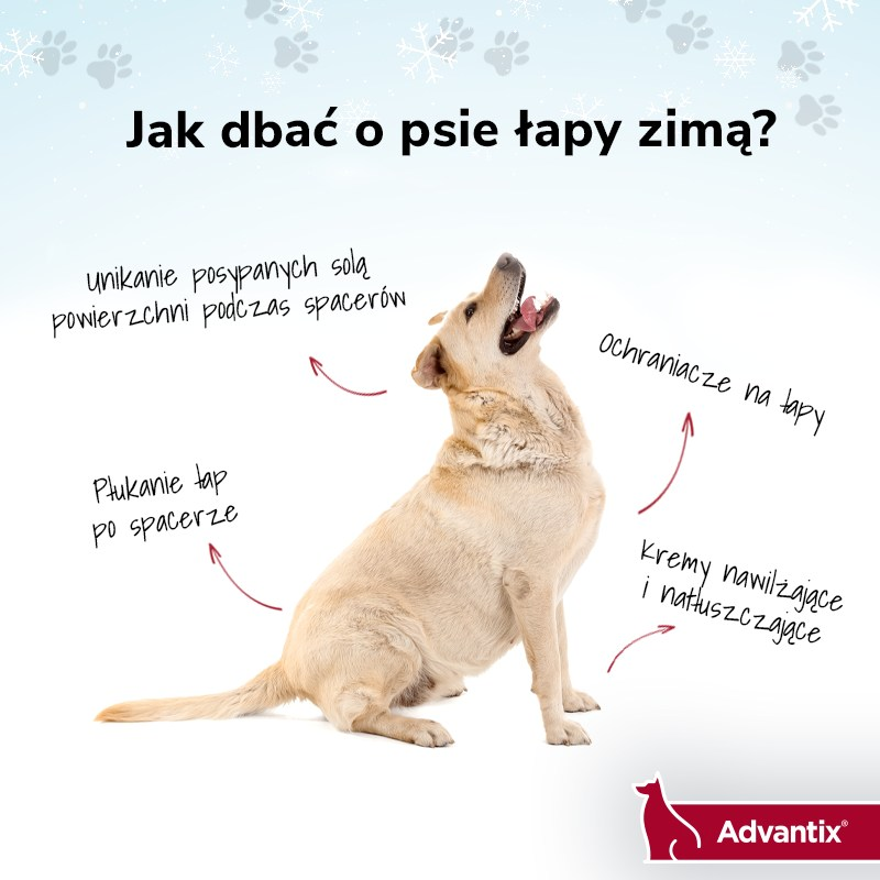 obraz_2023-12-05_101032583.png