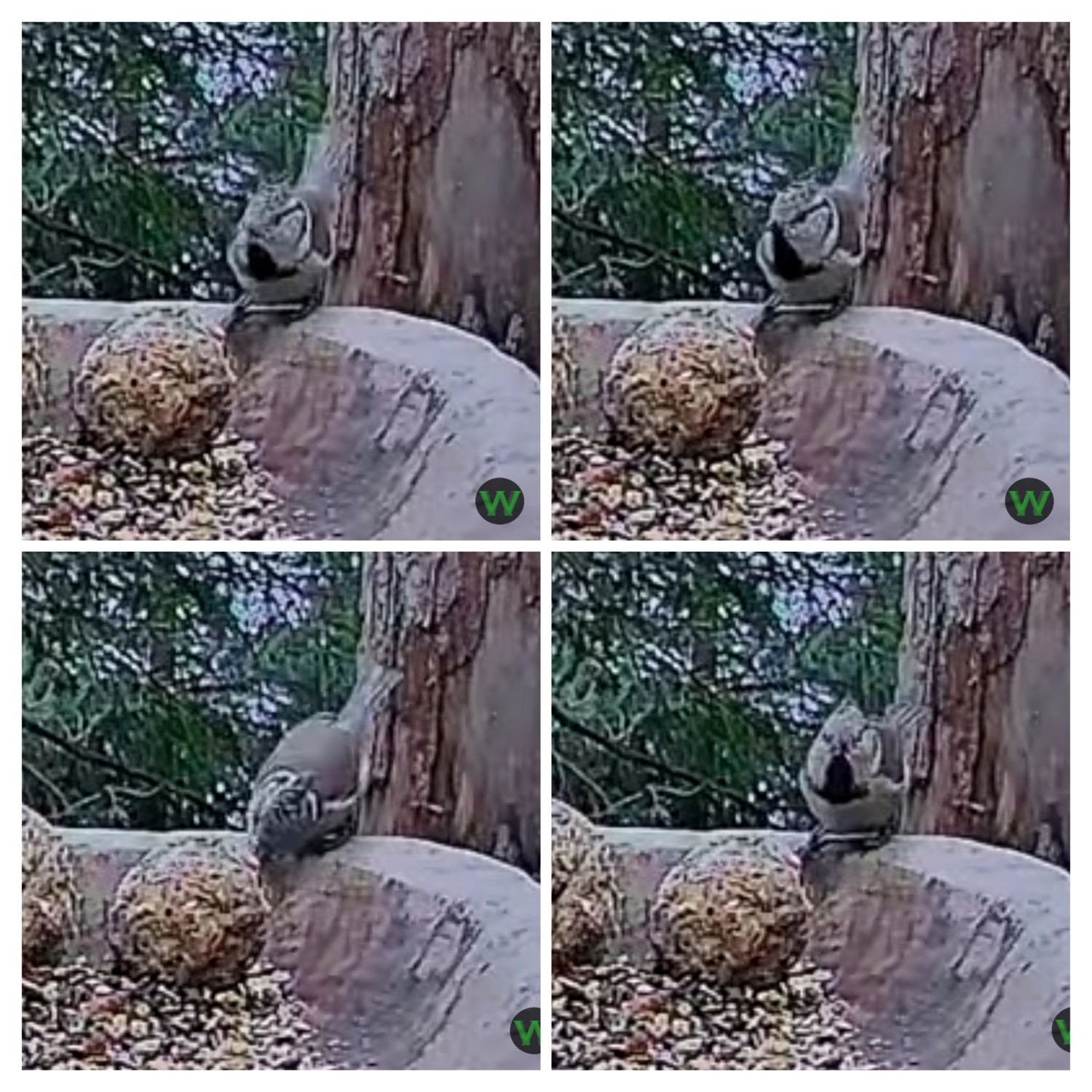 20231231_140840-COLLAGE.jpg