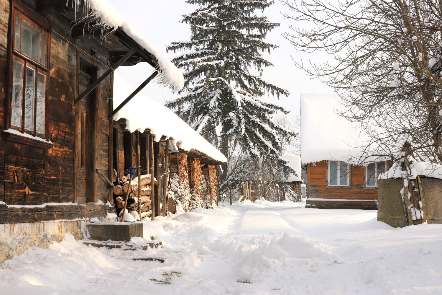 obraz_2024-01-13_171551239.png