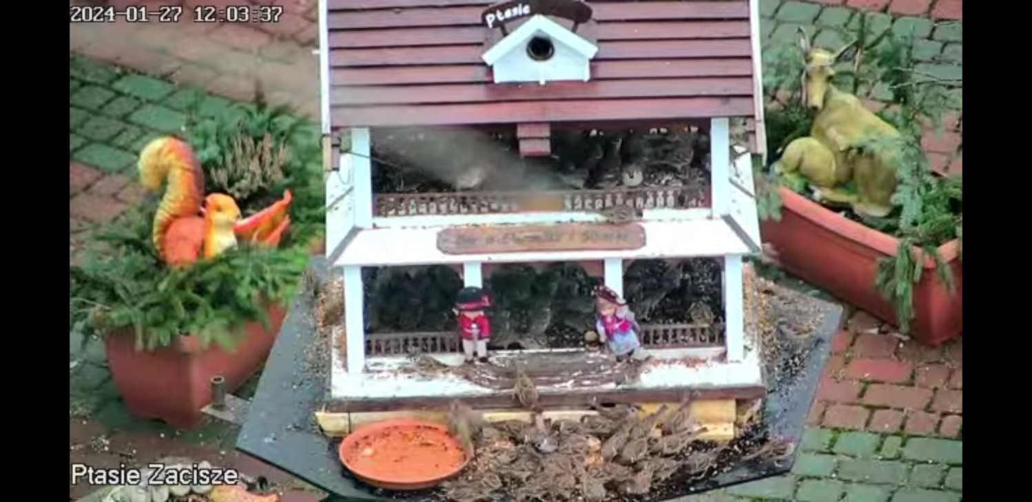 Screenshot_20240127-121601_YouTube.jpg