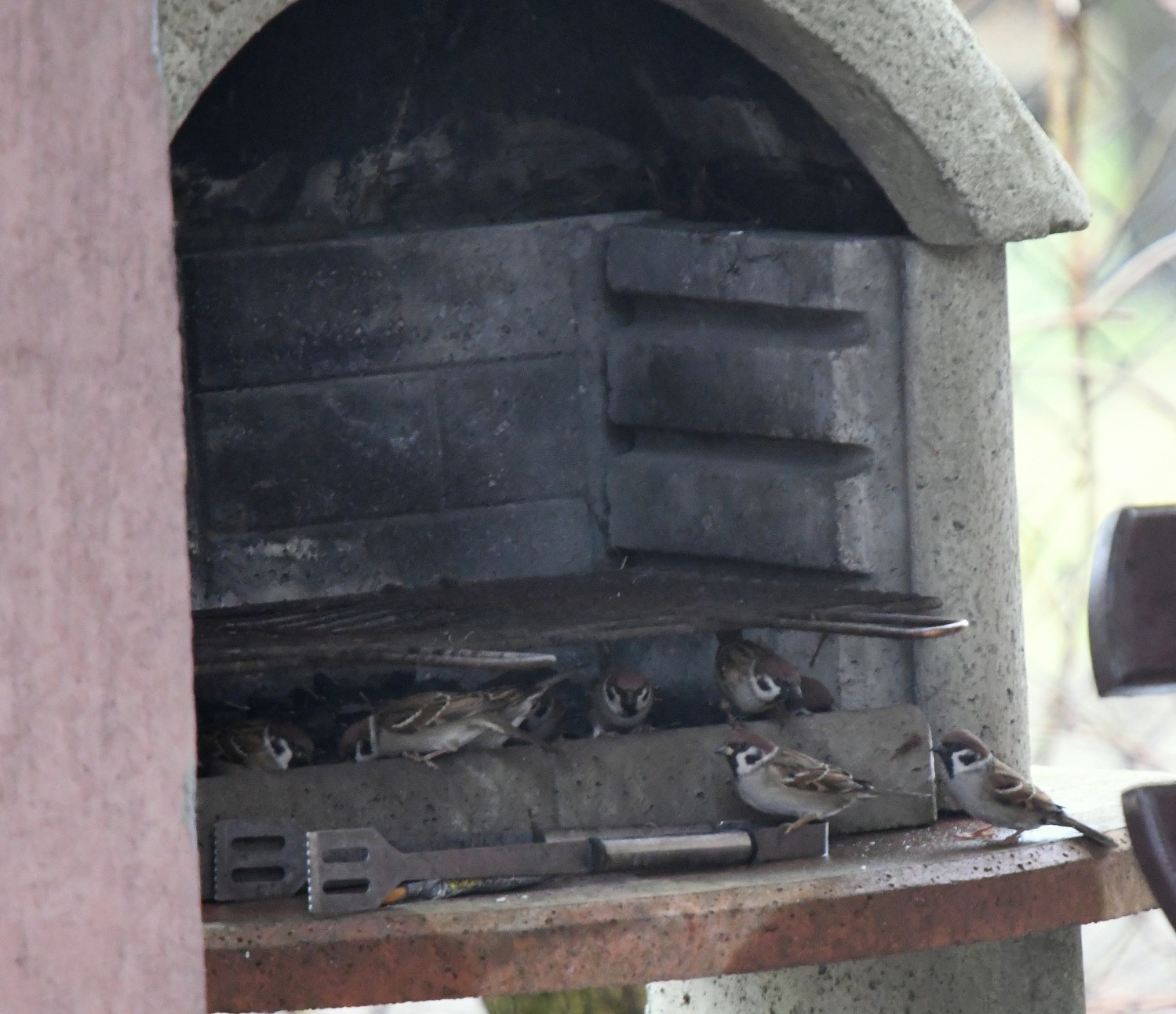DSC_2120.JPG