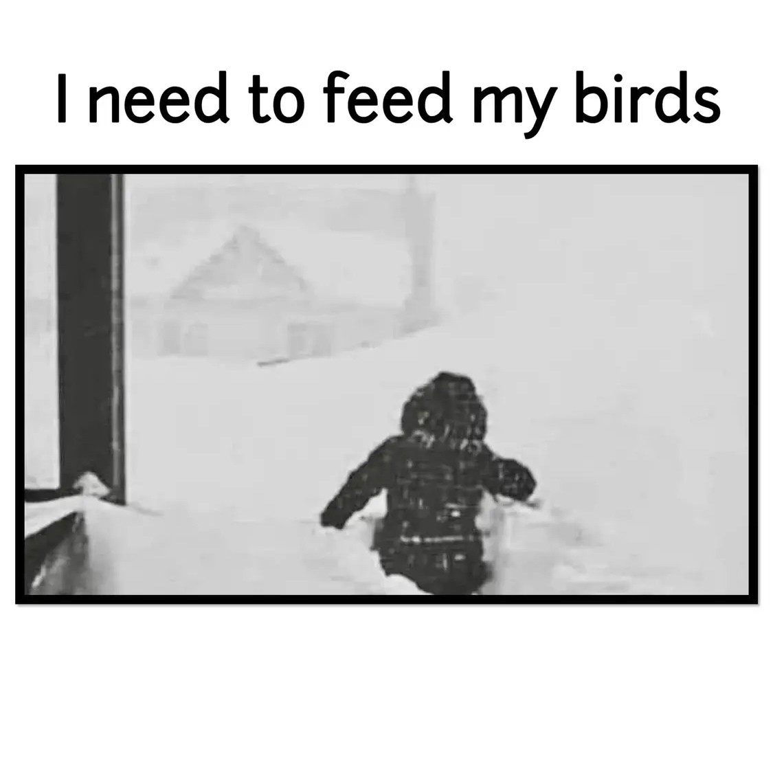 IMG_2400.jpeg