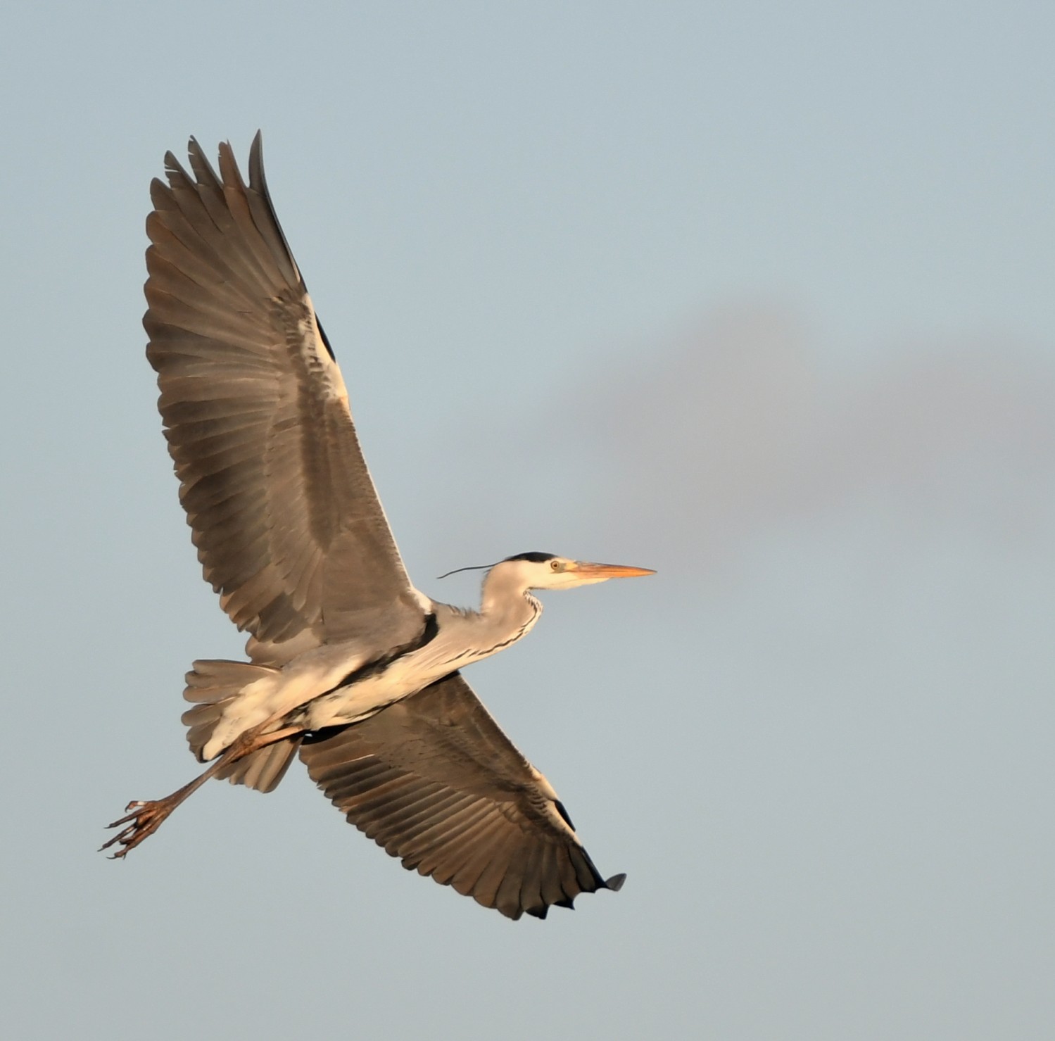 DSC_2277.JPG