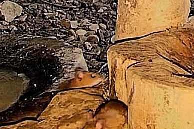 Screenshot_20240228_023353.jpg