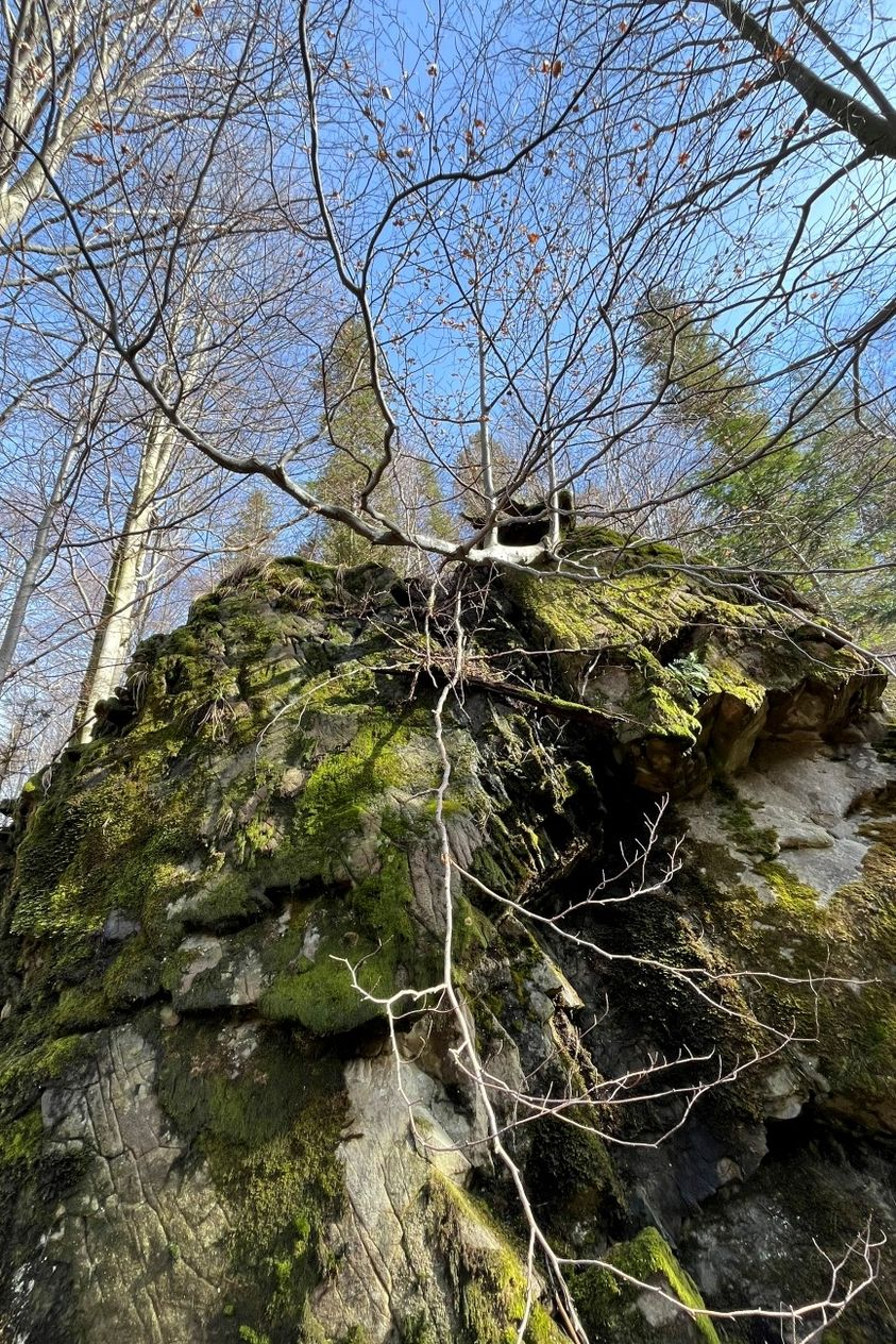 obraz_2024-02-29_212131018.png