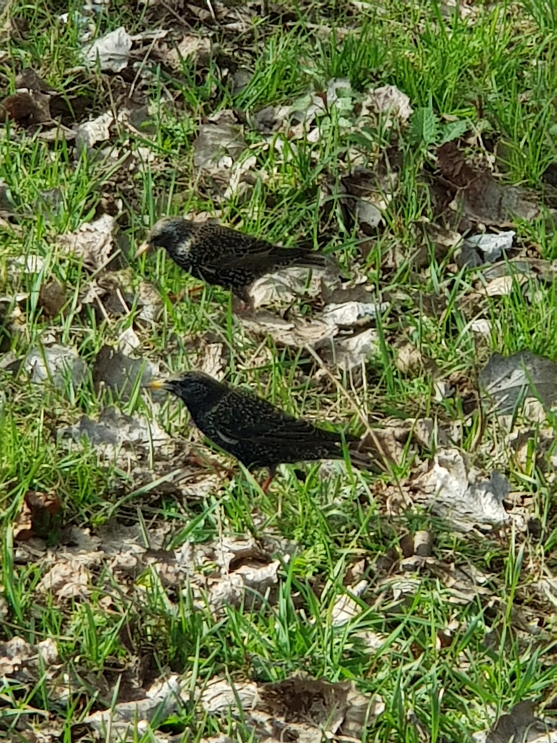 20240310_090105.jpg