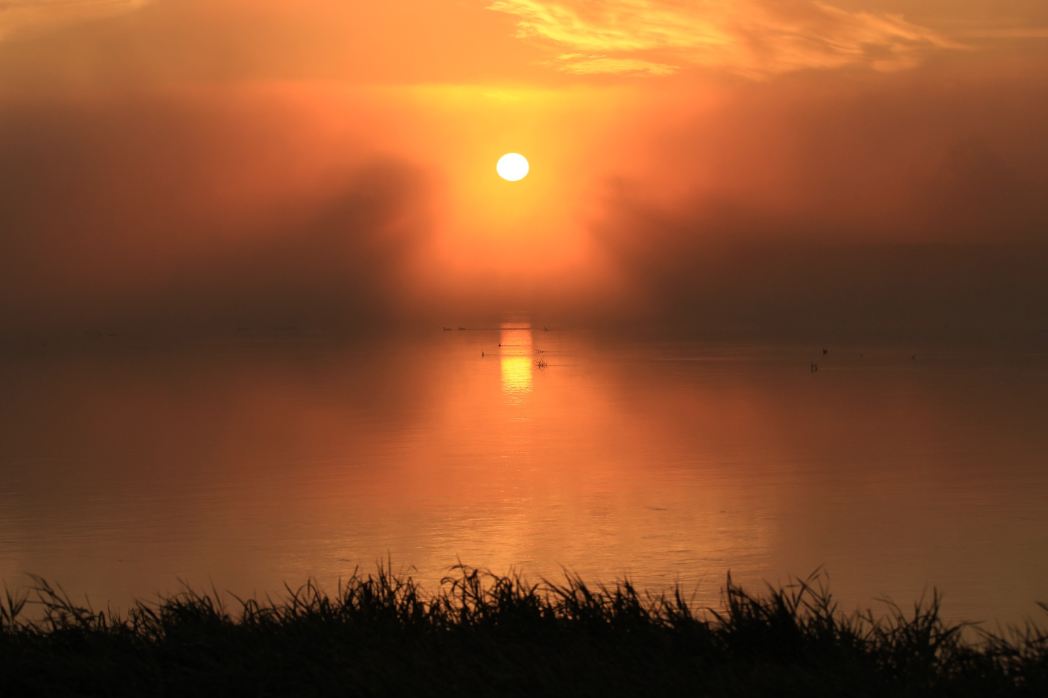 obraz_2024-03-20_172730255.png