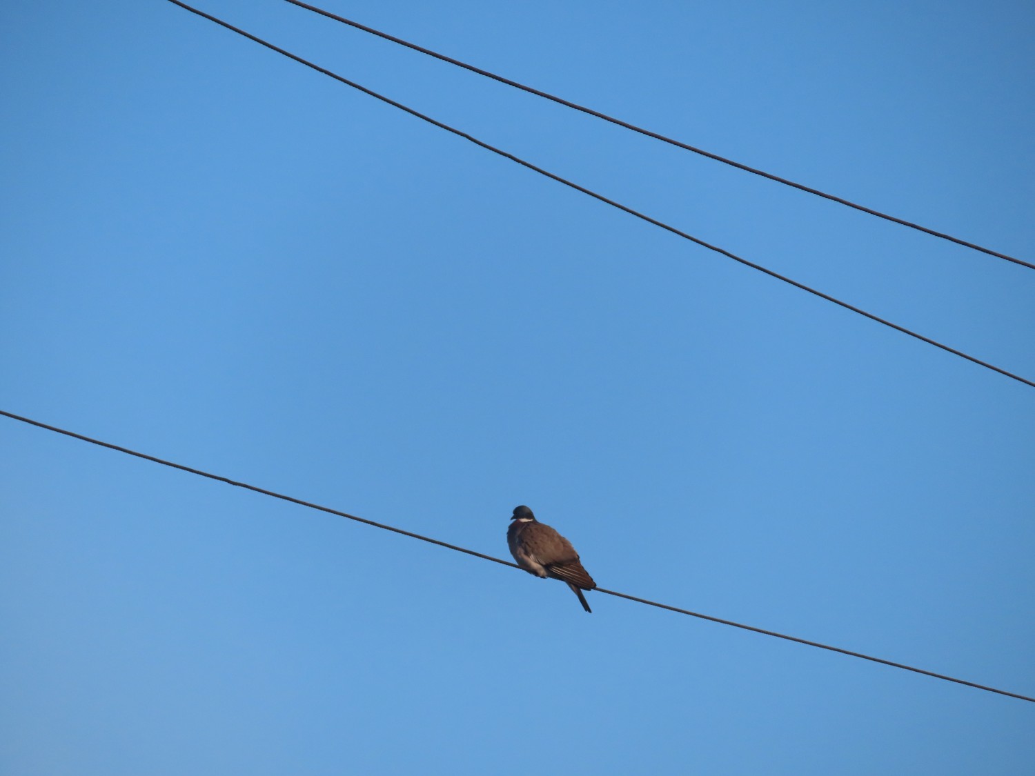 2IMG_5506.JPG