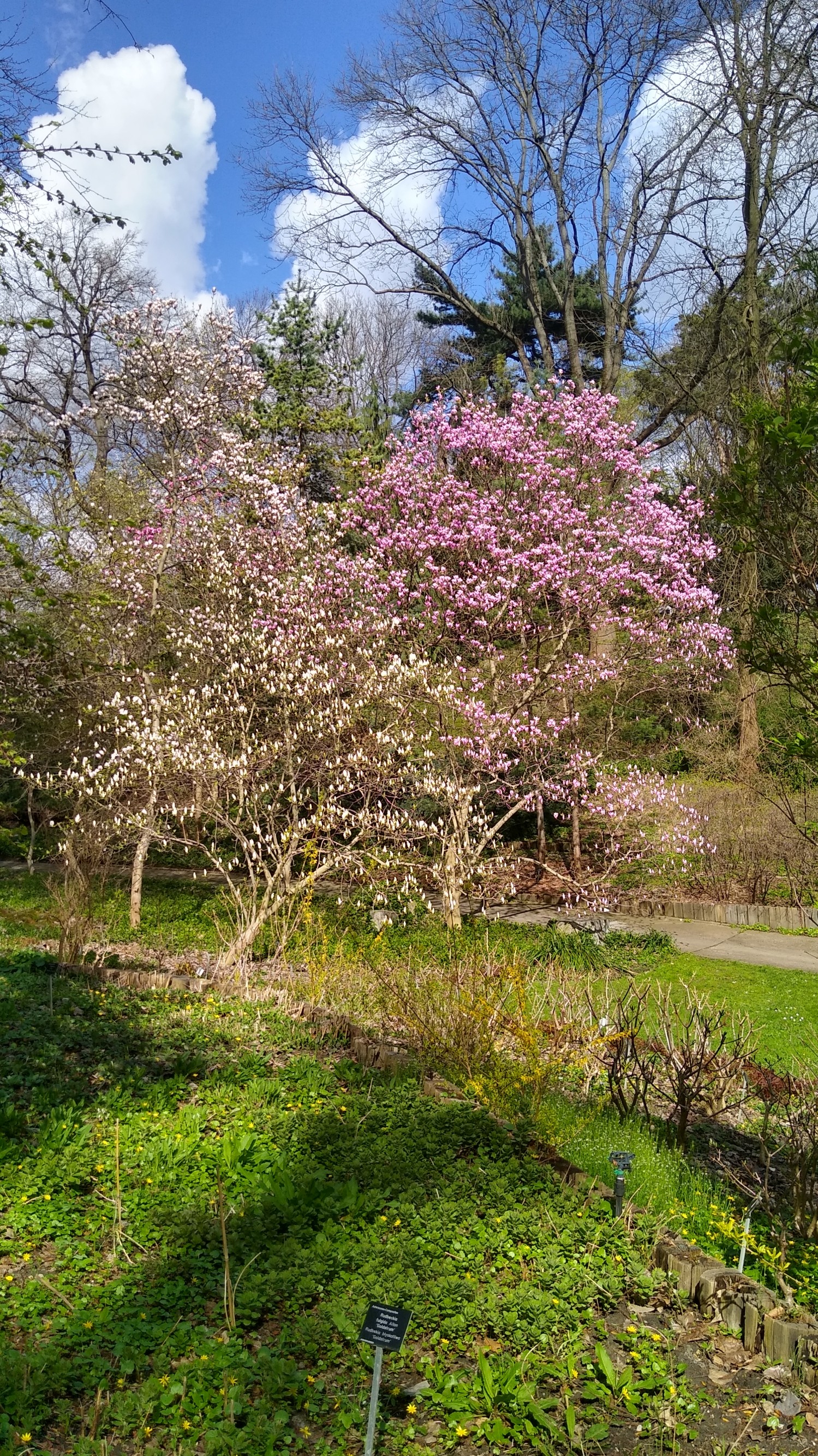 IMG_20240406_142406338_HDR.jpg