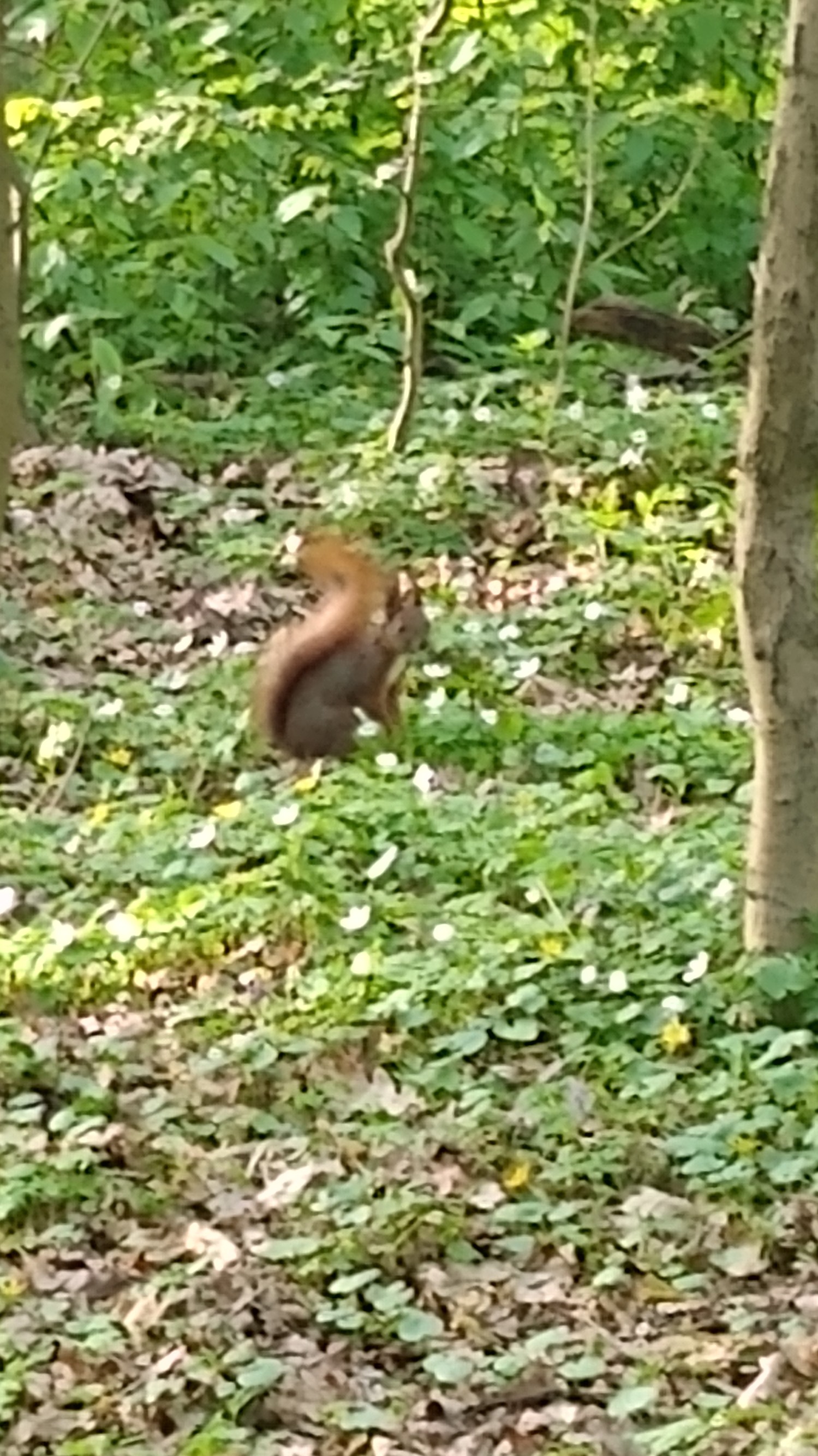 IMG_20240407_165155589.jpg