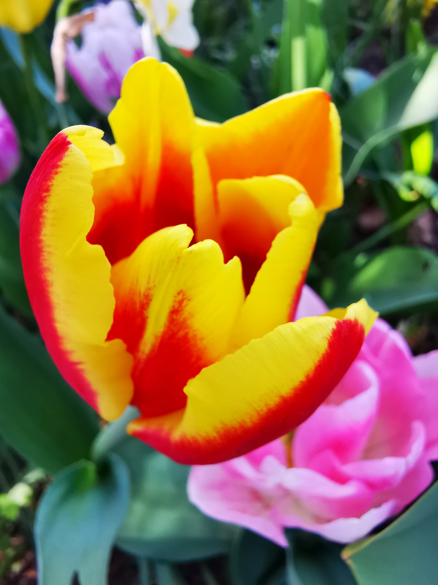 IMG_20240411_151511.jpg