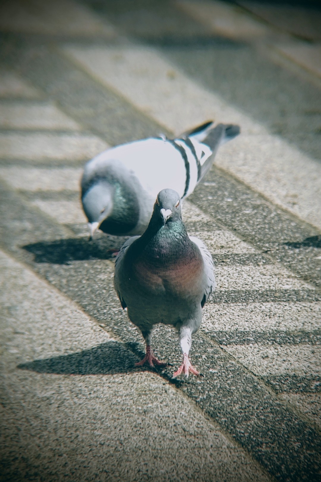 img_2024-04-13_11-46-56~2.png