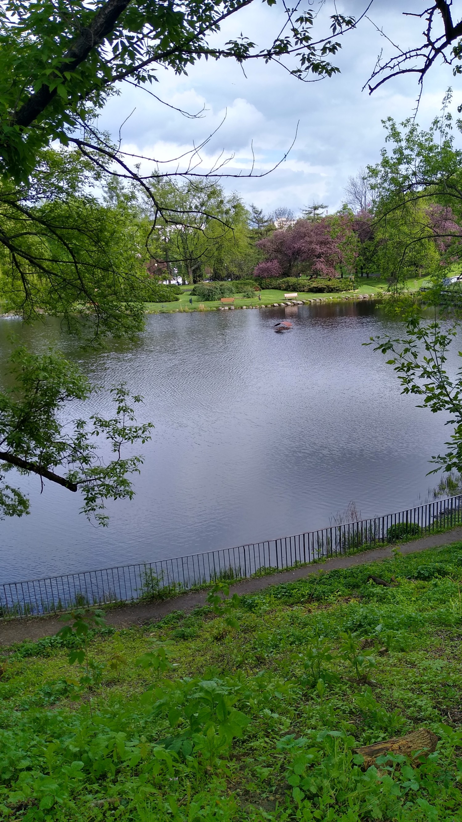 IMG_20240418_151935941_HDR.jpg