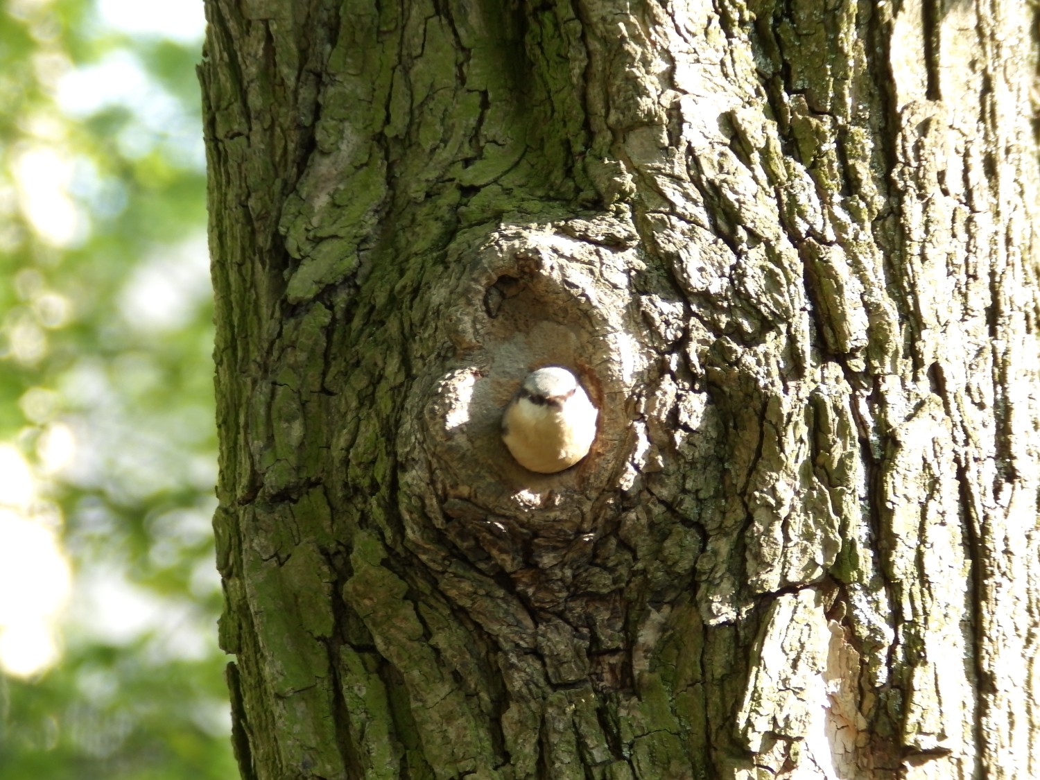 100_3560.JPG