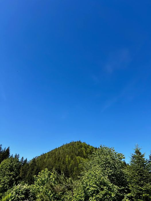 obraz_2024-05-13_152802902.png