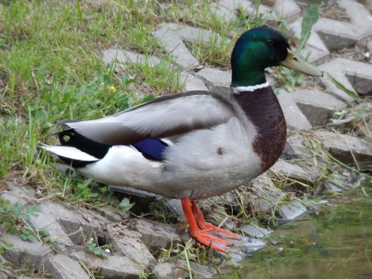 100_4074.JPG