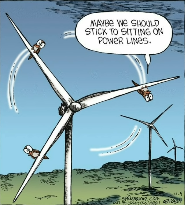 Zrzut ekranu 2024-05-15 231950.png