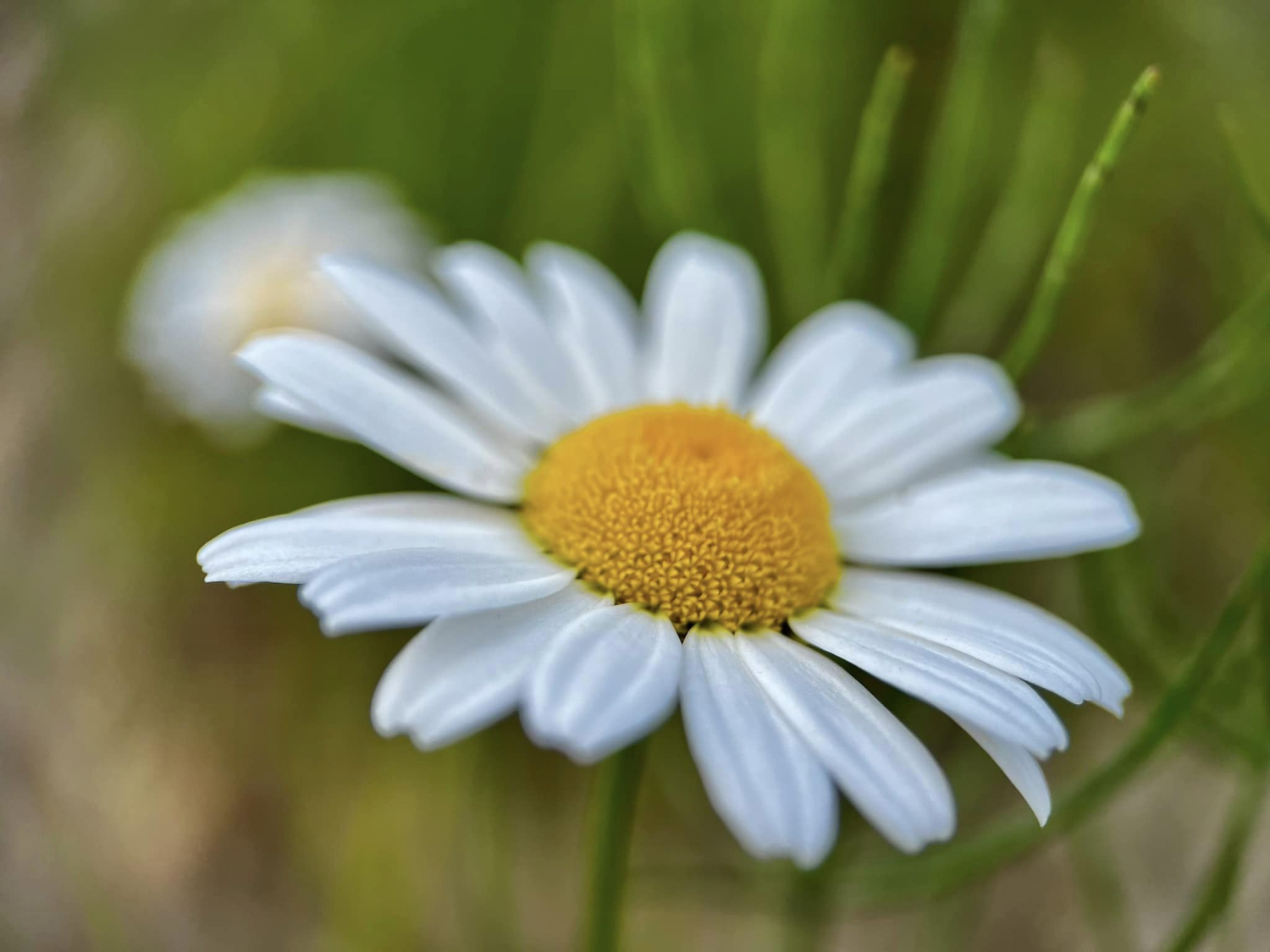 obraz_2024-05-22_203408453.png